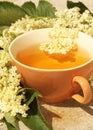 Elder tea Royalty Free Stock Photo