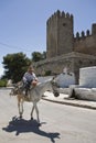 Elder walking in donkey close to the Tower of the