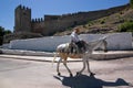 Elder walking in donkey close to the Tower of the Barbacana Royalty Free Stock Photo
