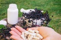 Elderberry and Capsules for Immunity in Hand Royalty Free Stock Photo