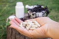 Elderberry and Capsules for Immunity in Hand Royalty Free Stock Photo