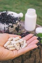 Elderberry and Capsules for Immunity in Hand Royalty Free Stock Photo