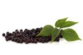 Elderberry Fruit Royalty Free Stock Photo