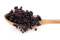 Elderberry Fruit Royalty Free Stock Photo