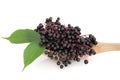 Elderberry Fruit Royalty Free Stock Photo