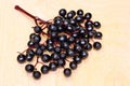 Elderberry fruit Royalty Free Stock Photo
