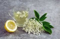 Elderberry inflorescence drink with lemon Royalty Free Stock Photo