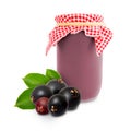 Elderberry jar Royalty Free Stock Photo