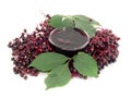 Elderberry jelly Royalty Free Stock Photo