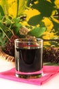 Elderberry juice Royalty Free Stock Photo