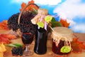 Elderberry juice and fresh fruits in the basket Royalty Free Stock Photo