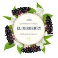 Elderberry Round Circle badge with twig, berries, leaves, flowers. Sambucus nigra. black elder plant, European elderberr