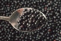 Elderberry or Sambucus Nigra, many row organic dark berries and spoon