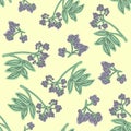 Elderberry seamless pattern. Colorful design for textile, wallpaper, fabric, decor.