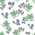 Elderberry seamless pattern. Colorful design for textile, wallpaper, fabric, decor.