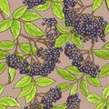 Elderberry seamless pattern