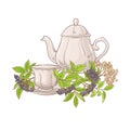 Elderberry tea illustration