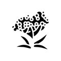 elderberry tree branch glyph icon vector illustration