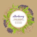 Elderberry vector frame