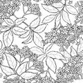 Elderflower seamless pattern