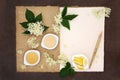 Elderflower Champagne Ingredients Royalty Free Stock Photo