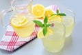 Elderflower juice with lemon Royalty Free Stock Photo