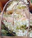 Elderflower in paper bag