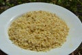 Elderflower on the plate for Elderflower cordialfor. Elderflower cordial is a soft drink made largely from a refined sugar and