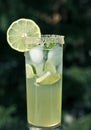 Elderflower syrup with lime and ice