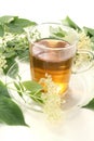 Elderflower tea