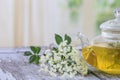 Hot Elderflower tea, fresh elder flower in glass tea pot Royalty Free Stock Photo