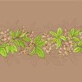 Elderflower vector pattern