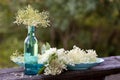 Elderflowers In Turquoise Glas Bottle
