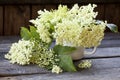 Beautiful Elderflowers In A Pitcher