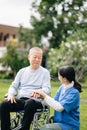 Elderly asian senior man on wheelchair with Asian careful caregiver and encourage patient, walking in garden. with care from a Royalty Free Stock Photo