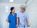 Elderly Asian woman patient trying to walk on walking frame held and carefully supported in arms by caregiver. Royalty Free Stock Photo