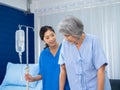 Elderly Asian woman patient trying to walk on walking frame held and carefully supported in arms. Royalty Free Stock Photo