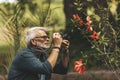 An elderly bearded man photographs flowers in nature Royalty Free Stock Photo