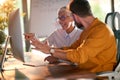 An elderly business woman and her young male colleague are talking about a computer screen content while they working at the desk