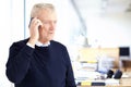 Elderly businessman talking with somebody on his cell phone while standing in the office Royalty Free Stock Photo