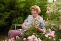 An elderly Caucasian woman is resting sitting in her own garden near a rose bush. The life of the elderly. Royalty Free Stock Photo