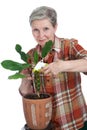 Elderly cheerful woman sprinkles flower