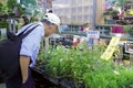 Elderly choose ornamental plant in flower market of taipei city