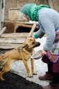 The elderly countrywoman plays with a puppy.