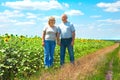 Elderly couple Royalty Free Stock Photo