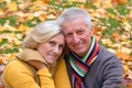 elderly couple in autumn park Royalty Free Stock Photo