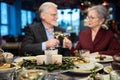 Elderly couple celebrating New Year Eve together clinking glasses with champagne Royalty Free Stock Photo