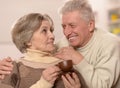 Elderly couple with cup of tea Royalty Free Stock Photo