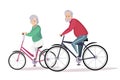 Elderly couple cycling flat vector illustration