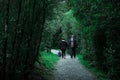 The elderly couple doing exercise by walking together in the green forest park in the morning. I